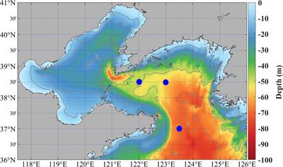 Cascade effects of seafloor litter on benthic ecosystems in the northern Yellow Sea